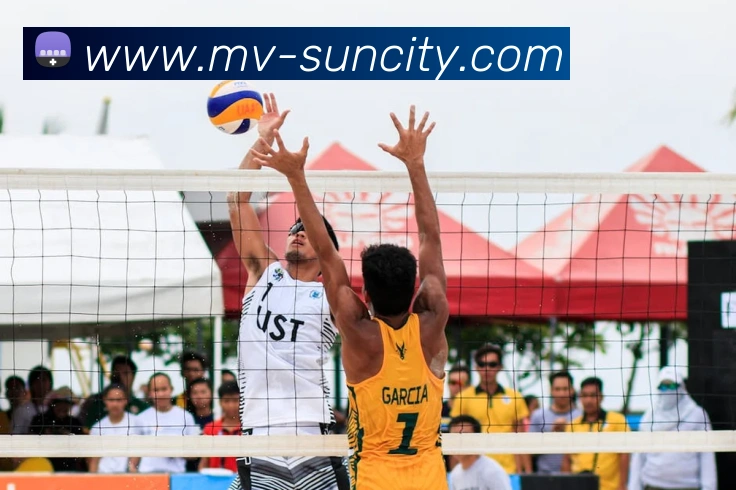 太阳城平台服务体系